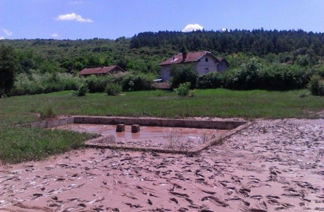 Съветници от ГЕРБ с изнесена приемна в село Дисевица