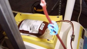 Отбелязваме Световния ден на безвъзмездния кръводарител