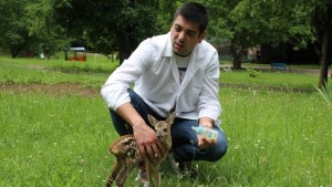 Ловешкият зоопарк приюти малка сърничка
