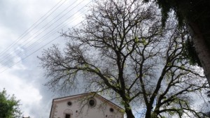 Добро утро Свежен Кмет звъни всяка сутрин на съселяните си