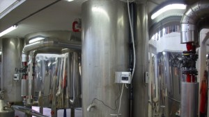 Добрич ще конкурира Индия в производството на етерично масло от