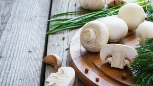 БАБХ забрани за продажба култивираните печурки в голяма търговска верига