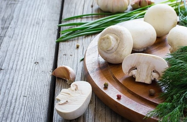 БАБХ забрани за продажба култивираните печурки в голяма търговска верига