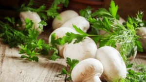 Има ли на пазара още гъби от партидата с която