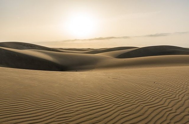 Откриха телата на 34 мигранти в пустинята Сахара
