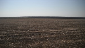 Къде е найскъпата земеделска земя в страната