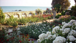 Доброволци от Чехия работят в Двореца в Балчик