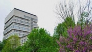 Първи фестивал на хората с увреждания се провежда утре в