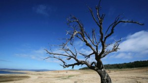 Канада и Сибир убежище за хора при климатични промени
