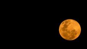 Лятото дойде с ягодова луна