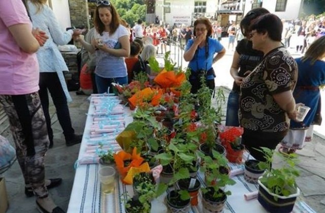 Благотворителен базар на билки в село Делчево