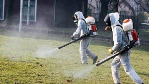 Държавата е дала повече 20 млн лева за справяне с