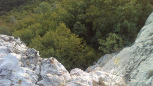 Юли идва с валежи