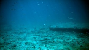 Търсите наймръсното място в земните океани Марианската падина