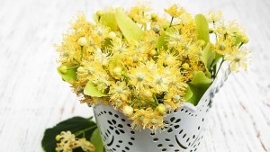 Кои са найтърсените български билки в чужбина