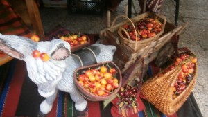 Добри цени и реализация за оцелялата кюстендилска череша Търсят я