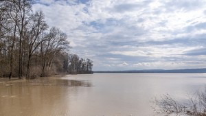 Дъжд и градушки поразили 32 000 декара земеделска земя