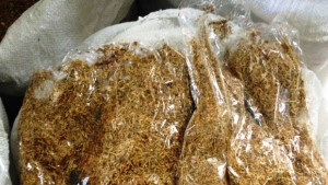 Варненски митничари спипаха контрабанден тютюн