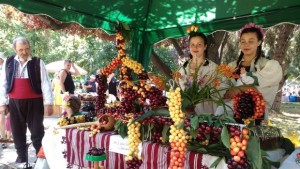 Читалищата в Драговищица Жабокрът Раждавица и Багренци със златен печат