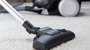 Прахосмукачки вече ще премахват дори дървеници