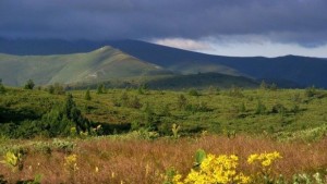 ТД Осогово отново изкачват връх Руен