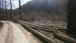 Камион с трупи потроши къща в Мокрен