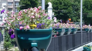 Щети за близо 6 000 лв са нанесени от кражби