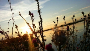 Задават се вятър дъжд и гръмотевици