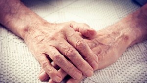 Хрущяли от крава дават надежди на милиони болни от артрит