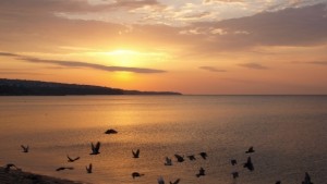 Джулая събира млади и стари на брега на морето да