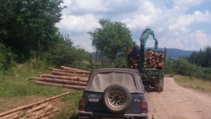 Проверки на ИАГ за електронни билети при превоз на дървесина