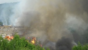 Да пазим горите от пожари апелират от Североизточно държавно предприятие