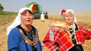 По жътва в димитровградското село Радиево