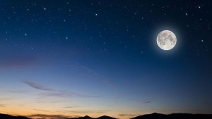 Връзката между хората и светулките е прекъсната