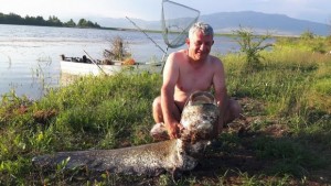Кюстендилски доктор извади 60 кг сом от язовир Берсин