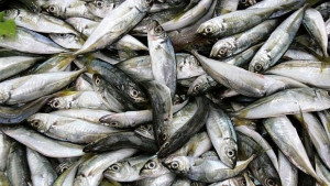 Клиенти посягали на хранителни инспектори в защита на улични търговци