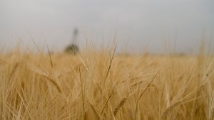 Днес жените раздават погачи за дъжд и берекет