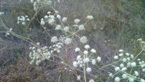 Лятото се завръща с пълна сила