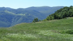 Обучават туристически водачи