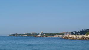 Руснак бесня в хотел край Варна