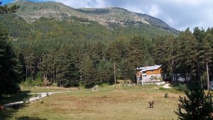 Търсят се кръстници за улици на найновото село Попови ливади
