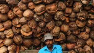 Сгради като кокосови орехи ще ни спасяват при земетресения