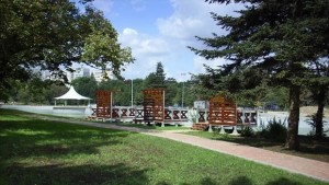 Лесни упражнения които можем да правим в парка