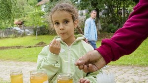 Х V Национален пчеларски събор в ЕМО Етър