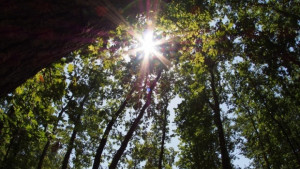 Времето на 7 юли Идва студен фронт