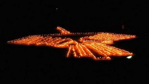Грамадно колибри от огън на плажа
