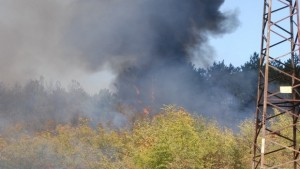Деветнадесет специални коли срещу пожарите