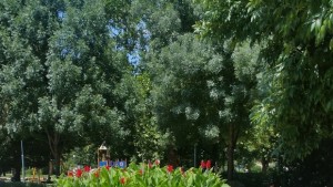Възстановиха чешмата в парк Рибница