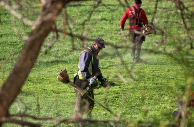 Предупреждават пчелари за пръскане с препарат край летището