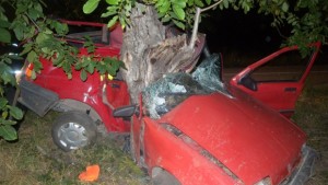 Шофьорът управлявал катастрофиралия в Плиска aвтомобил починал в болница бил